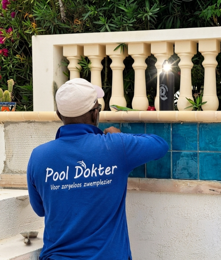 Herbetegeling Zwembad Bonaire